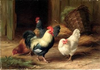 unknow artist Cocks 078 oil painting picture